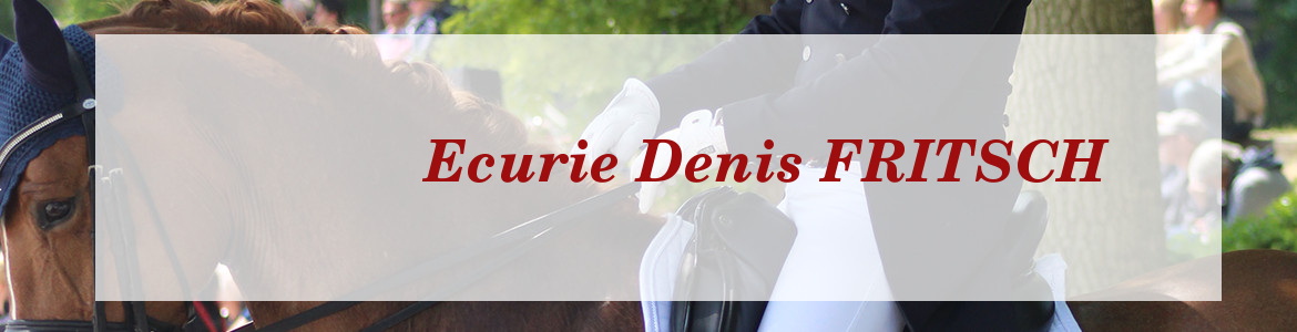 Ecurie Denis FRITSCH